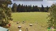 Archiviertes Webcam Bild: Scheuermatthof Todtnauberg - Blick auf die Piste am 12.07.2026 um 12:45 Uhr