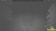 Archiviertes Webcam Bild: Scheuermatthof Todtnauberg - Blick auf die Piste am 14.07.2026 um 02:56 Uhr