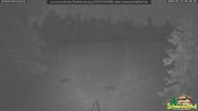 Archiviertes Webcam Bild: Scheuermatthof Todtnauberg - Blick auf die Piste am 14.07.2026 um 04:56 Uhr