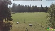 Archiviertes Webcam Bild: Scheuermatthof Todtnauberg - Blick auf die Piste am 14.07.2026 um 10:37 Uhr