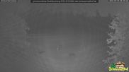 Archived webcam image showing Todtnauberg - Ski slope at Scheuermattwiese on 29 Jul 2026 at 00:21