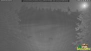 Archived webcam image showing Todtnauberg - Ski slope at Scheuermattwiese on 30 Jul 2026 at 00:39
