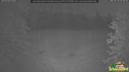 Archived webcam image showing Todtnauberg - Ski slope at Scheuermattwiese on 30 Jul 2026 at 02:39