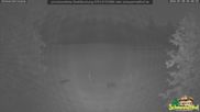 Archived webcam image showing Todtnauberg - Ski slope at Scheuermattwiese on 30 Jul 2026 at 04:39