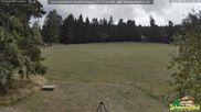 Archived webcam image showing Todtnauberg - Ski slope at Scheuermattwiese on 18 Aug 2026 at 12:41