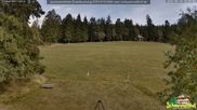 Archived webcam image showing Todtnauberg - Ski slope at Scheuermattwiese on 18 Aug 2026 at 18:41