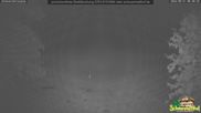 Archiviertes Webcam Bild: Scheuermatthof Todtnauberg - Blick auf die Piste am 31.08.2026 um 00:55 Uhr