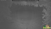 Archiviertes Webcam Bild: Scheuermatthof Todtnauberg - Blick auf die Piste am 31.08.2026 um 02:55 Uhr