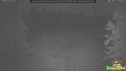 Archiviertes Webcam Bild: Scheuermatthof Todtnauberg - Blick auf die Piste am 31.08.2026 um 04:55 Uhr