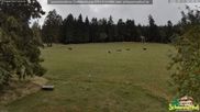 Archiviertes Webcam Bild: Scheuermatthof Todtnauberg - Blick auf die Piste am 31.08.2026 um 06:55 Uhr