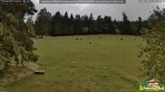 Archiviertes Webcam Bild: Scheuermatthof Todtnauberg - Blick auf die Piste am 31.08.2026 um 07:55 Uhr