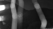 Archived webcam image showing Bad Lauterberg: Webcam Panoramic Hotel on 27 Aug 2026 at 00:48