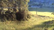 Archived webcam image showing Menzenschwand: Ski Lift Rehbach on 23 Jun 2026 at 07:44