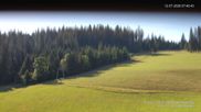 Archived webcam image showing Slopes Kalte Herberge on 12 Jul 2026 at 08:48