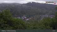 Archived webcam image showing Wildberg: Schafscheuernberg on 18 May 2026 at 08:12