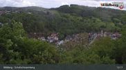 Archived webcam image showing Wildberg: Schafscheuernberg on 18 May 2026 at 13:12