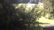 Archived webcam image showing Enzklösterle Ski Centre: Slope on 28 May 2026 at 10:16