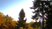 Archived webcam image showing View Idar-Oberstein on 1 May 2026 at 07:45