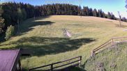 Archiviertes Webcam Bild: Willingen-Usseln: Emmet Skilift am 28.05.2026 um 08:33 Uhr