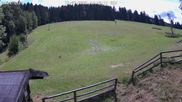 Archiviertes Webcam Bild: Willingen-Usseln: Emmet Skilift am 12.07.2026 um 14:19 Uhr
