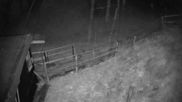 Archiviertes Webcam Bild: Willingen-Usseln: Emmet Skilift am 10.10.2026 um 02:48 Uhr