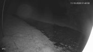Archiviertes Webcam Bild: Bad Marienberg: Kinderlift und blaue Piste am Schorrberg am 11.10.2026 um 02:56 Uhr