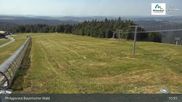 Archived webcam image showing Mitterdorf: Panorama Cam Almberg on 11 Aug 2026 at 11:08