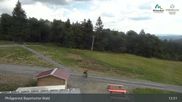 Archived webcam image showing Mitterdorf: Panorama Cam Almberg on 11 Aug 2026 at 13:08