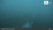 Archiviertes Webcam Bild: Mitterdorf: Panoramakamera Almberg mit Flyline am 10.10.2026 um 07:52 Uhr