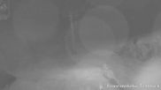 Archived webcam image showing top station Panoramalift, ski resort Brunnalm Hohe Veitsch on 28 May 2026 at 00:28