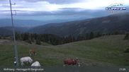 Archived webcam image showing mountain station Klippitztoerl on 17 Jun 2026 at 03:33