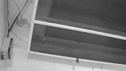 Archiviertes Webcam Bild: Feistritz an der Gail: Fledermaushaus am 26.08.2026 um 22:17 Uhr
