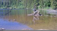 Archiviertes Webcam Bild: Mummelsee: Seeufer am 28.05.2026 um 10:37 Uhr