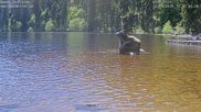 Archived webcam image showing Lake Mummelsee on 22 May 2026 at 14:58