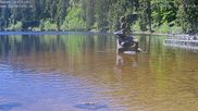 Archived webcam image showing Lake Mummelsee on 22 May 2026 at 12:58