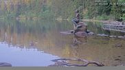 Archived webcam image showing Lake Mummelsee on 30 Jun 2026 at 06:05