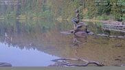 Archived webcam image showing Lake Mummelsee on 30 Jun 2026 at 07:05