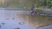 Archived webcam image showing Lake Mummelsee on 12 Jul 2026 at 06:24