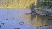 Archived webcam image showing Lake Mummelsee on 12 Jul 2026 at 07:24