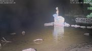 Archived webcam image showing Lake Mummelsee on 12 Jul 2026 at 00:24