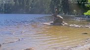 Archived webcam image showing Lake Mummelsee on 12 Jul 2026 at 16:00