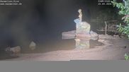 Archived webcam image showing Lake Mummelsee on 26 Aug 2026 at 00:50