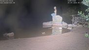 Archived webcam image showing Lake Mummelsee on 20 Sep 2026 at 00:22