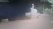 Archiviertes Webcam Bild: Mummelsee: Seeufer am 04.10.2026 um 00:09 Uhr