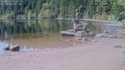 Archiviertes Webcam Bild: Mummelsee: Seeufer am 04.10.2026 um 10:09 Uhr