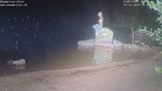 Archiviertes Webcam Bild: Mummelsee: Seeufer am 10.10.2026 um 00:44 Uhr