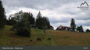 Archiviertes Webcam Bild: Mönichkirchner Schwaig am 12.07.2026 um 15:25 Uhr