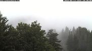 Archived webcam image showing Puchberg am Schneeberg Baumgartner Station on 13 Jun 2026 at 10:20