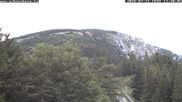 Archiviertes Webcam Bild: Puchberg am Schneeberg - Bergblick Baumgartner am 21.07.2026 um 12:21 Uhr