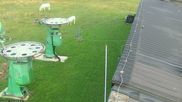Archived webcam image showing Teichalm: Base Station on 10 Aug 2026 at 07:35